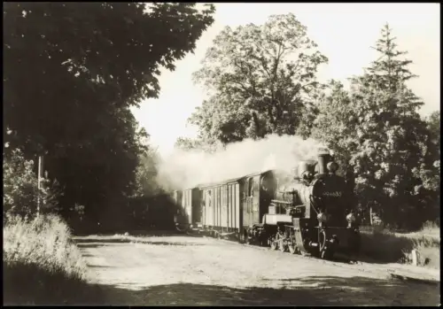 Philippshagen Göhren Rügen Schmalspurbahn Putbus   Einfahrt Philippshagen 1982