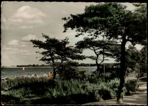 Timmendorfer Strand Strand Waldweg - Fotokarte Teilcoloriert 1960