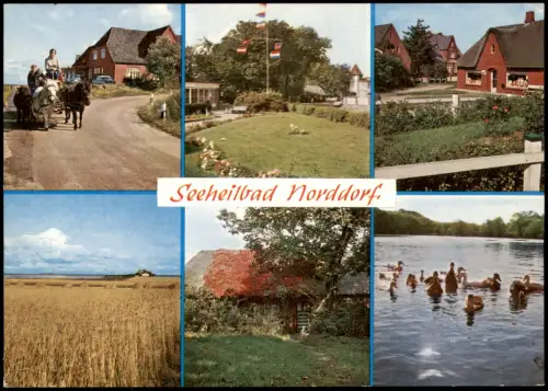 Norddorf auf Amrum Noorsaarep | Nordtorp Ortsansichten Straße Pony Geschäft 1978