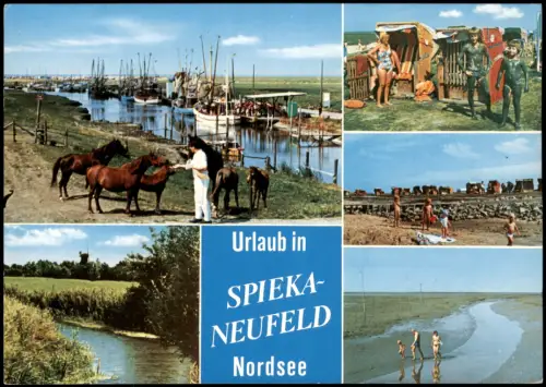 Spieka-Neufeld-Wurster Nordseeküste MB: Strand Pferde Windmühle 1978