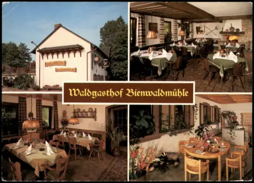 Scheibenhardt Mehrbild-AK Waldgasthof Bienwaldmühle   1980