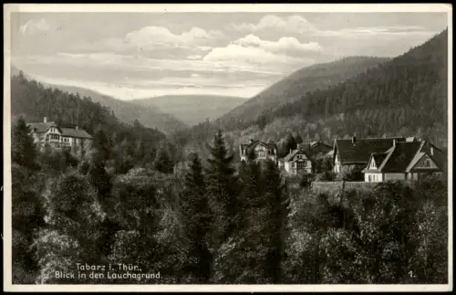 Tabarz/Thüringer Wald Panorama-Ansicht Blick in den Lauchagrund 1936