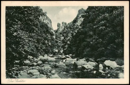Ansichtskarte Thale (Harz) Bodetor Partie, Fluss-Lauf der Bode 1929