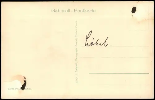 Ansichtskarte Flüelen Panorama-Ansicht Flüelen und der Bristenstock 1920