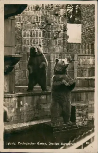 Ansichtskarte Leipzig Zoologischer Garten, Drollige Bärengruppe 1932