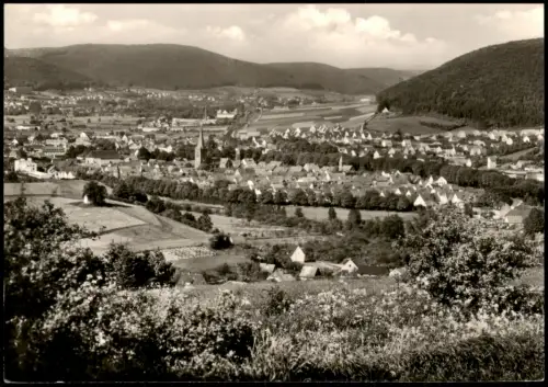 Ansichtskarte Lügde (Westfalen) Blick auf die Stadt 1971