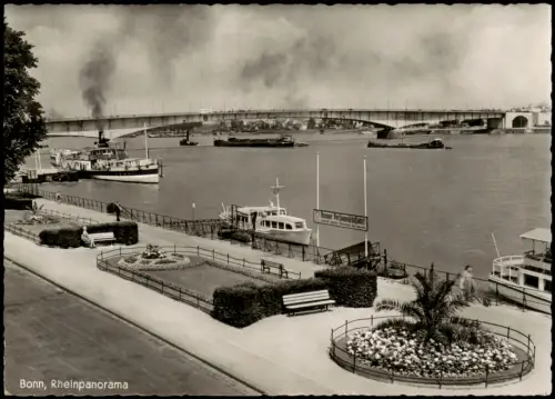 Ansichtskarte Bonn Rheinpromenade Dampfer 1956