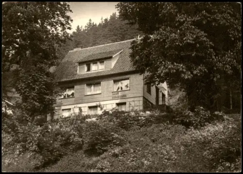 Ansichtskarte Wildemann-Clausthal-Zellerfeld Pension Haus Höhenweg 1976