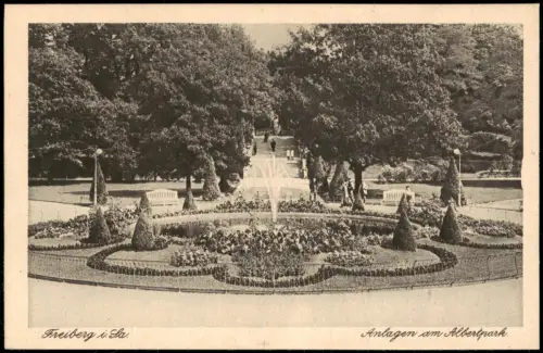 Ansichtskarte Freiberg (Sachsen) Anlagen am Albertpark 1920