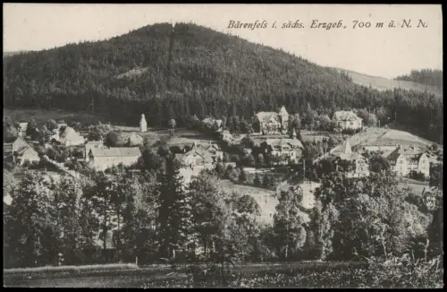 Ansichtskarte Bärenfels (Erzgebirge)-Altenberg (Erzgebirge) Ortsansicht 1920