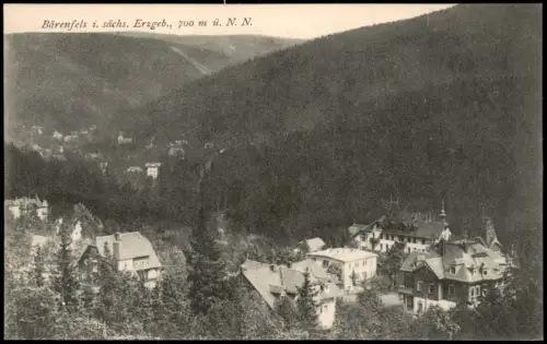 Bärenfels (Erzgebirge)-Altenberg (Erzgebirge) Panoramaansicht Bärenfels 1915