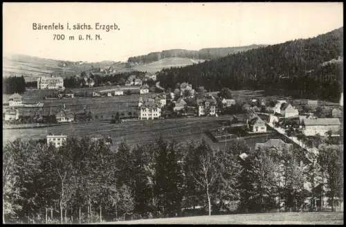 Ansichtskarte Bärenfels (Erzgebirge)-Altenberg (Erzgebirge) Stadtpartie 1911