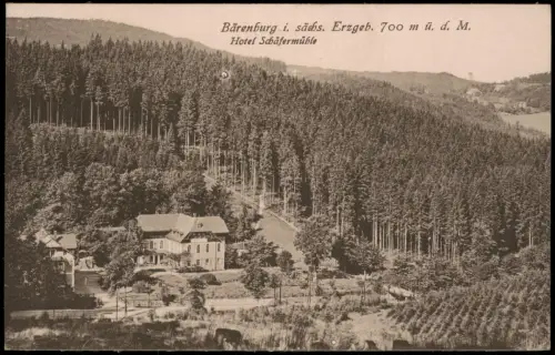 Ansichtskarte Oberbärenburg-Altenberg (Erzgebirge) Hotel Schäfermühle 1913