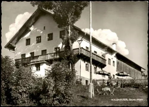 Waldhäuser-Neuschönau DRACHSLERHOF (1000 m) Gästehaus Johann Denk 1970