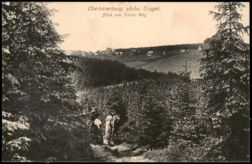 Ansichtskarte Oberbärenburg-Altenberg (Erzgebirge) Blick vom Tiroler Weg 1914
