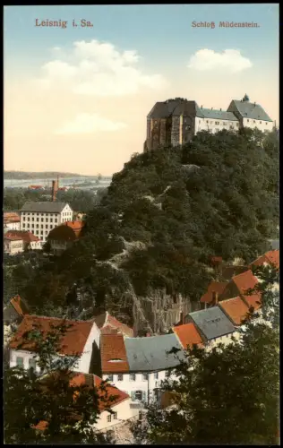 Ansichtskarte Leisnig Schloss Mildenstein - Stadt 1914