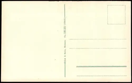 Ansichtskarte Leisnig Schloss Mildenstein - Stadt 1914