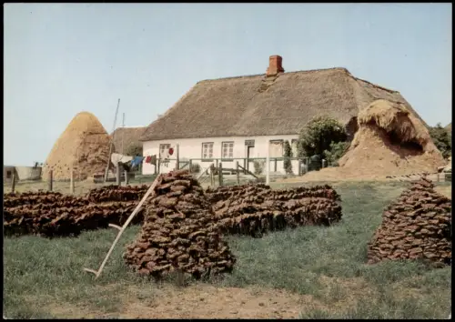 Hallig Hooge Hallighaus, zwei Heustadel jahrhundertaltes Brennmaterial 1972
