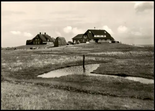 Ansichtskarte Langeneß Langeness Hallig Langenæs Hilligenley 1968