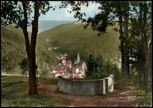 Ansichtskarte Lauterbach (Schwarzwald) Stadtblick 1968