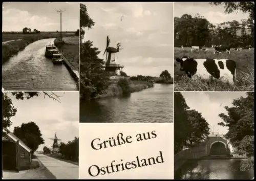 Ansichtskarte .Niedersachsen MB: Kanal Windmühlen Kühe Fotokarte 1977