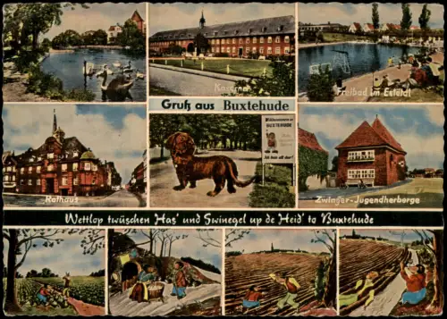 Ansichtskarte Buxtehude Kaserne Freibad Hase und Igel 1966
