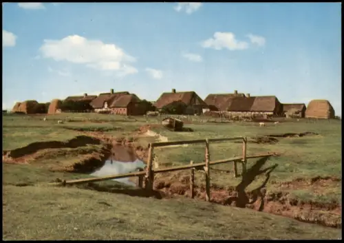 Langeneß Langeness Hallig Langenæs Ketelswarft mit Stock über dem Priel 1970