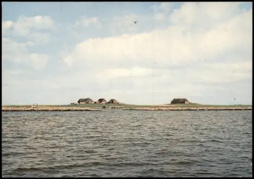 Ansichtskarte Hallig Gröde Kirchwarft und Knudswarft 1979