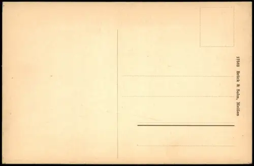 Marienbad Mariánské Lázně Blick auf die Stadt - colorierte AK 1914