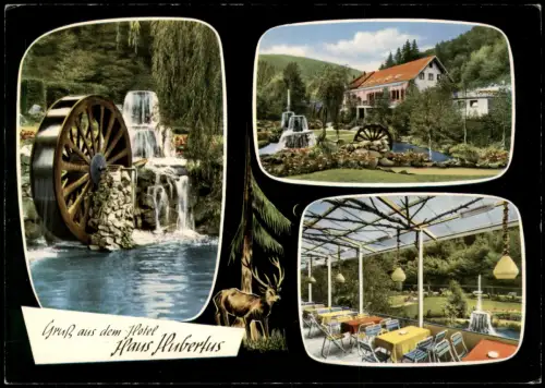 Ansichtskarte Mayen 3 Bild Hotel Haus Hubertus Riedener Mühle 1971