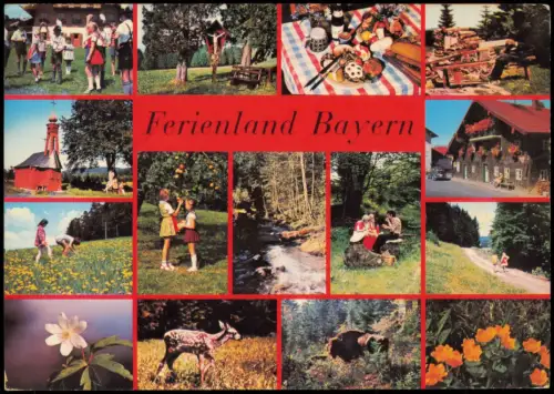 Ansichtskarte .Bayern Freienland Tiere Kinder Trachten 1978