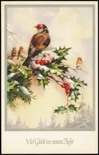 Ansichtskarte  Singvögel auf Mistelzweig Weihnachten Christmas 1950