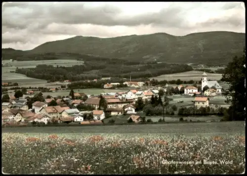 Ansichtskarte Grafenwiesen Wiese und Stadt Colorfotokarte 1973