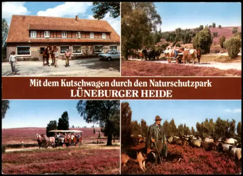 Ansichtskarte Bispingen Kutschwagentouren Lüneburger Heide 1994