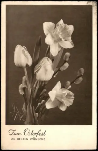 Ansichtskarte  Ostern Easter Blumen Gruss-Karte 1941   gel Stempel MITTWEIDA