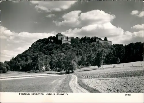Königstein (Sächsische Schweiz) Feldweg Festung Foto Hering 1965