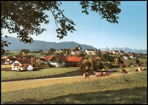 Ansichtskarte Wildsteig Stadt und Kühe 1988