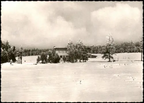 Ansichtskarte Herchenhain Grebenhain Berg-Gasthaus   1960  Landpoststempel