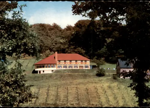 Ansichtskarte Langenberg (Rheinland)-Velbert Hotel PAX - Im Deilbachtal 1967