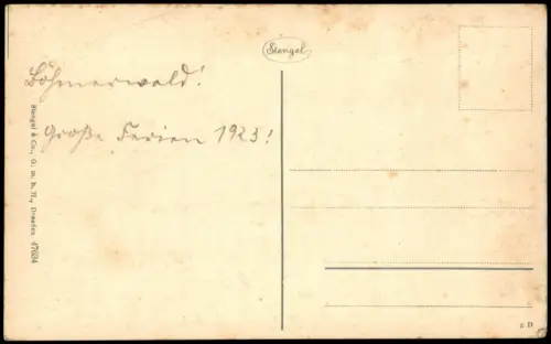 Ansichtskarte Regensburg RATHAUS-PORTAL 1923