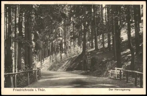 Ansichtskarte Friedrichroda Umland-Ansicht, Wald-Partie, Der Herzogsweg 1937