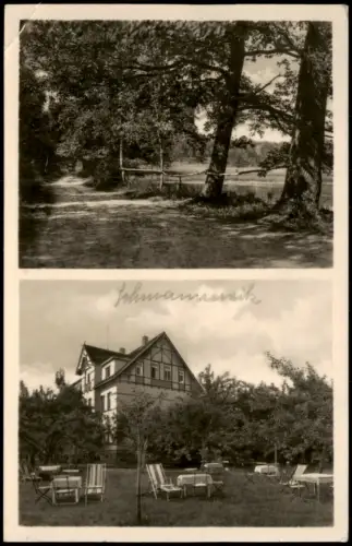 Ansichtskarte Schmannewitz-Dahlen Pension OLGA  1955  mit DDR Landpoststempel