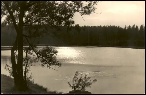 Tannenbergsthal Vogtland Muldenhammer OT Jägersgrün Vogtlandsee  DDR-Zeit 1966