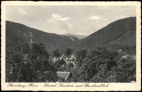Ilsenburg (Harz) Panorama Blick Ilsetal, Ilsestein und Brockenblick 1930