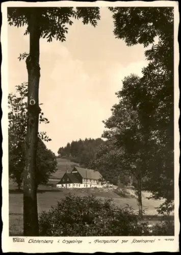Lichtenberg (Erzgebirge) Forsthof zur Schwingerei 1942 Walter Hahn:12597