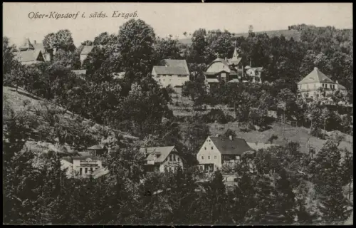 Ansichtskarte Kipsdorf-Altenberg (Erzgebirge) Villen und Häuser am Hang 1914