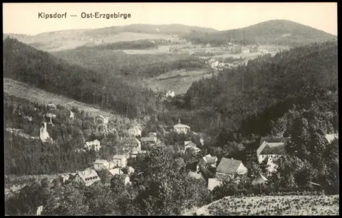 Ansichtskarte Kipsdorf-Altenberg (Erzgebirge) Talblick 1914