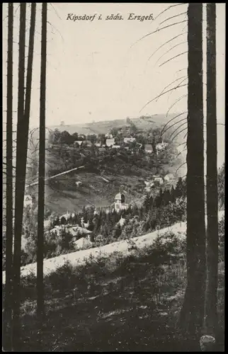 Kipsdorf-Altenberg (Erzgebirge) Blick durch die Bäume ins Tal 1914