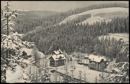 Waldbärenburg-Altenberg Erzgebirge Winter in Bärenburg: Hotel Schäfermühle 1914