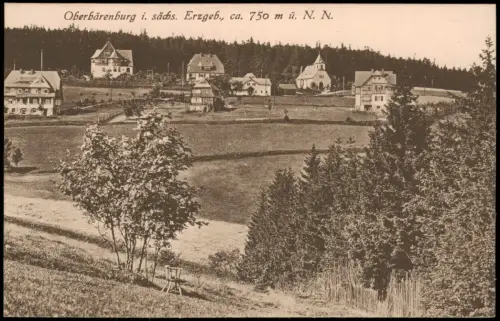 Ansichtskarte Oberbärenburg-Altenberg (Erzgebirge) Stadtpartie 1920